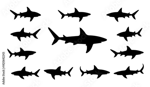 silhouettes of sharks set