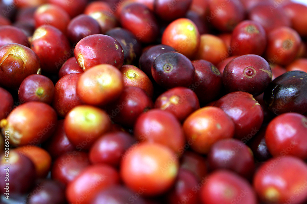Coffee is one of the most widely consumed drinks in the world. Coffee is one of the most widely consumed drinks in the world.