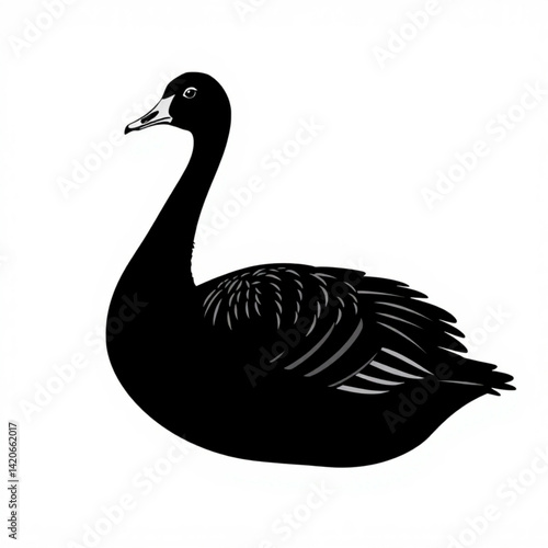 Illustration of a black swan profile