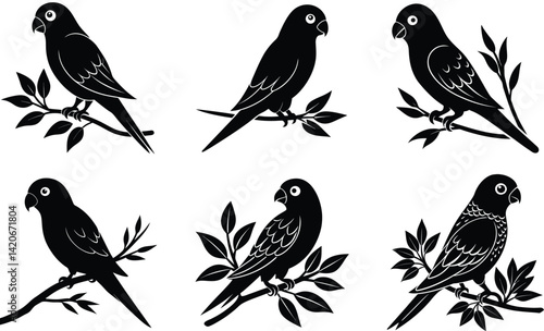 Lovebird sitting on a branch silhouette black vector art set design