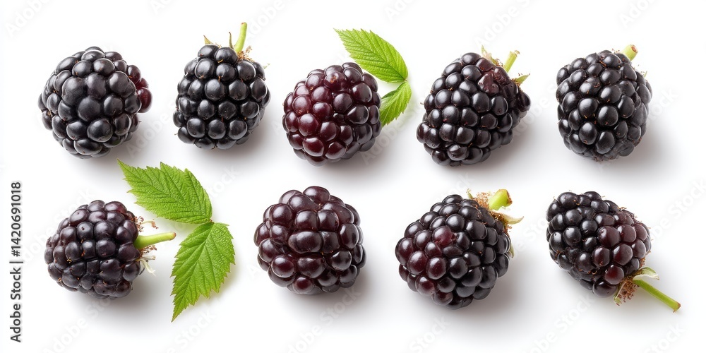 Clusters of ripe blackberries with green leaves arranged on a clean white surface, bright natural lighting. Clusters of ripe blackberries with green leaves arranged on a clean white surface, bright natural lighting.