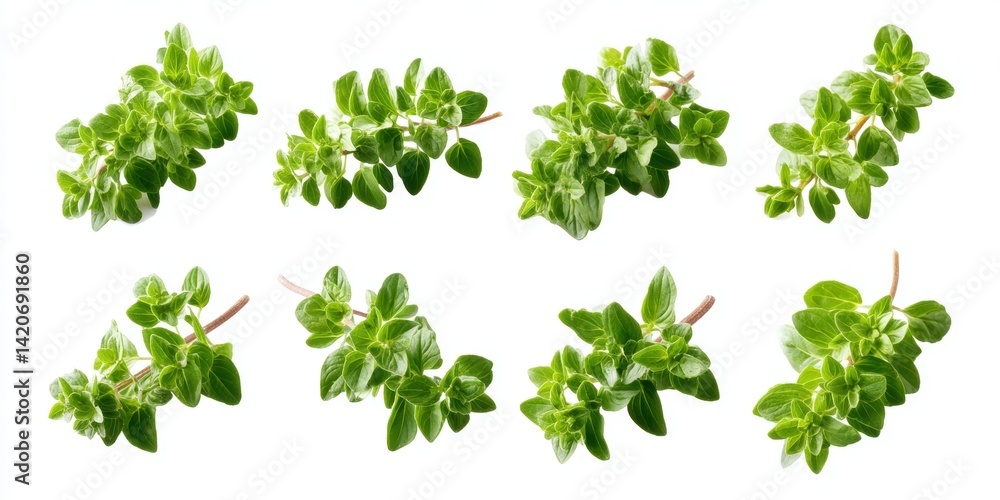 Close-up of vibrant green leaves arranged on a clean white background, perfect for nature or wellness themes.