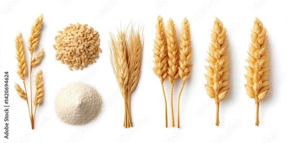 Arafed wheat, flour, and assorted grains neatly arranged on a clean white surface in natural light.