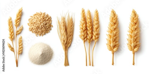 Obraz na płótnie Arafed wheat, flour, and assorted grains neatly arranged on a clean white surface in natural light. w salonie
