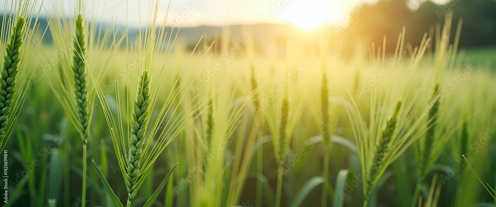 Fototapeta premium An informed depiction of agricultural commodities emphasizing advanced agribusiness techniques regulatory compliance and innovative market strategies for sustainable growth in Photo Stock Concept a