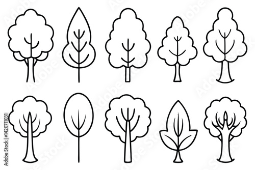 Poplar Tree Styles Collection on White Background