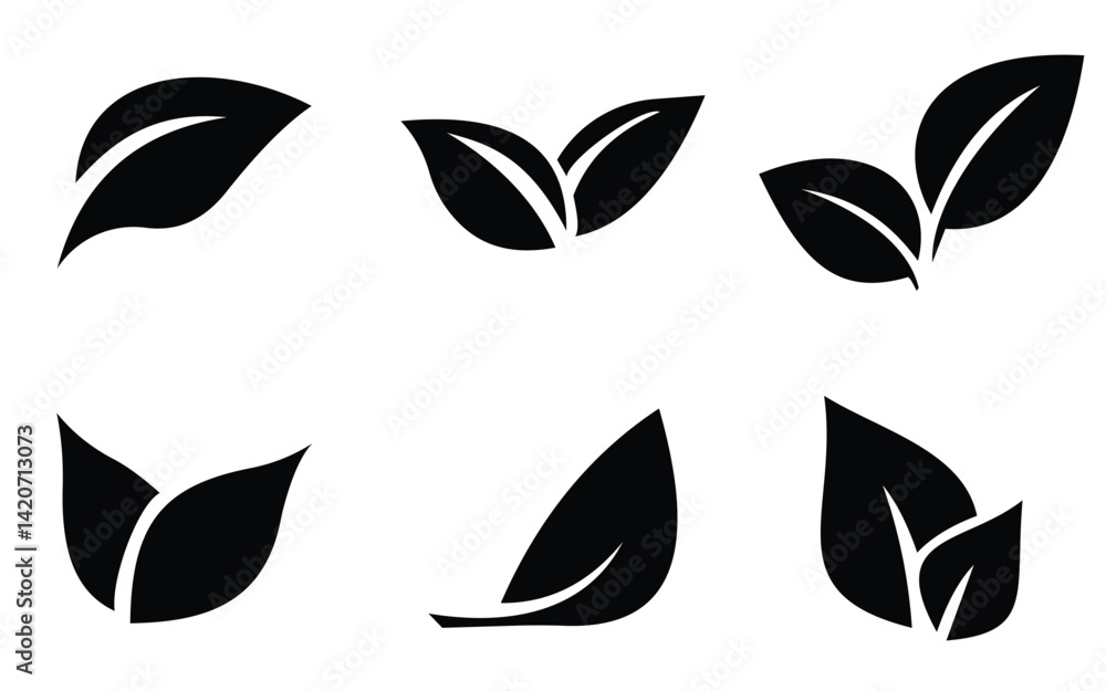 leaf 46 leaf 46