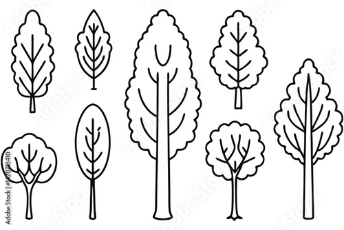 Different Styles of Poplar Trees