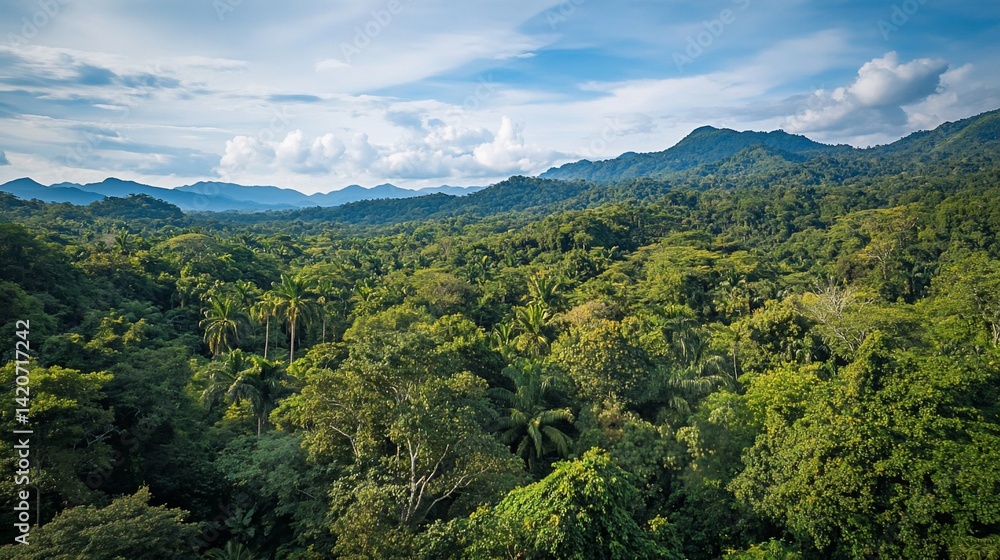Naklejka premium Lush green tropical rainforest canopy with distant mountains under blue sky and clouds