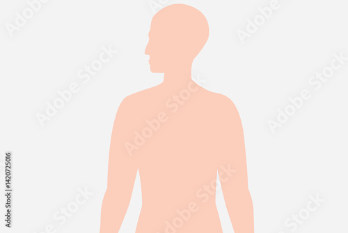 medical illustration. Silhouette of a human body facing sideways on a light background. eps 10