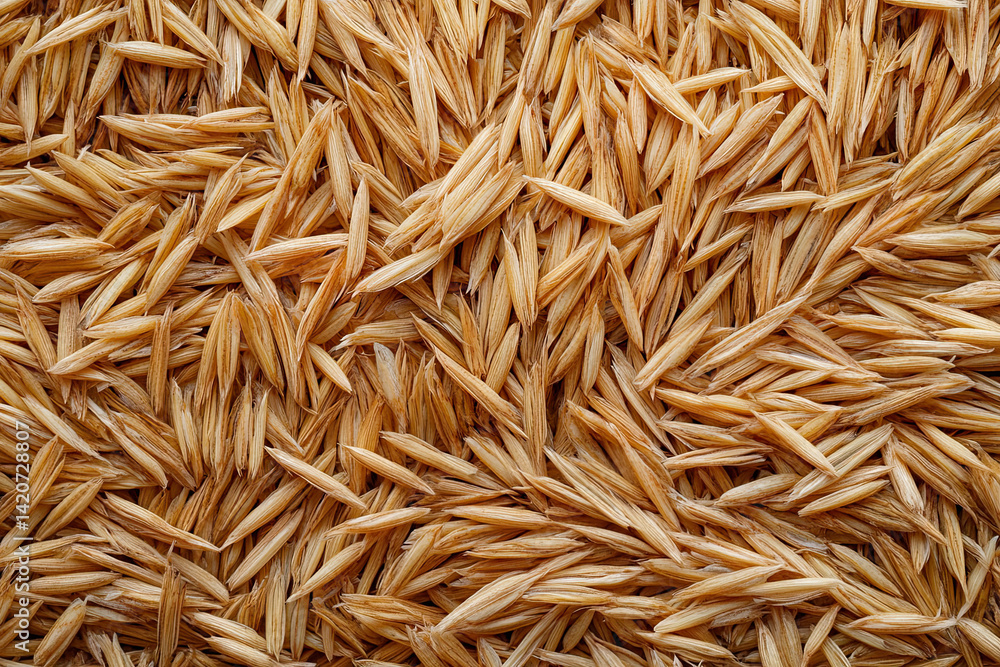 Close-up Texture of Dried Oat Grains Close-up Texture of Dried Oat Grains