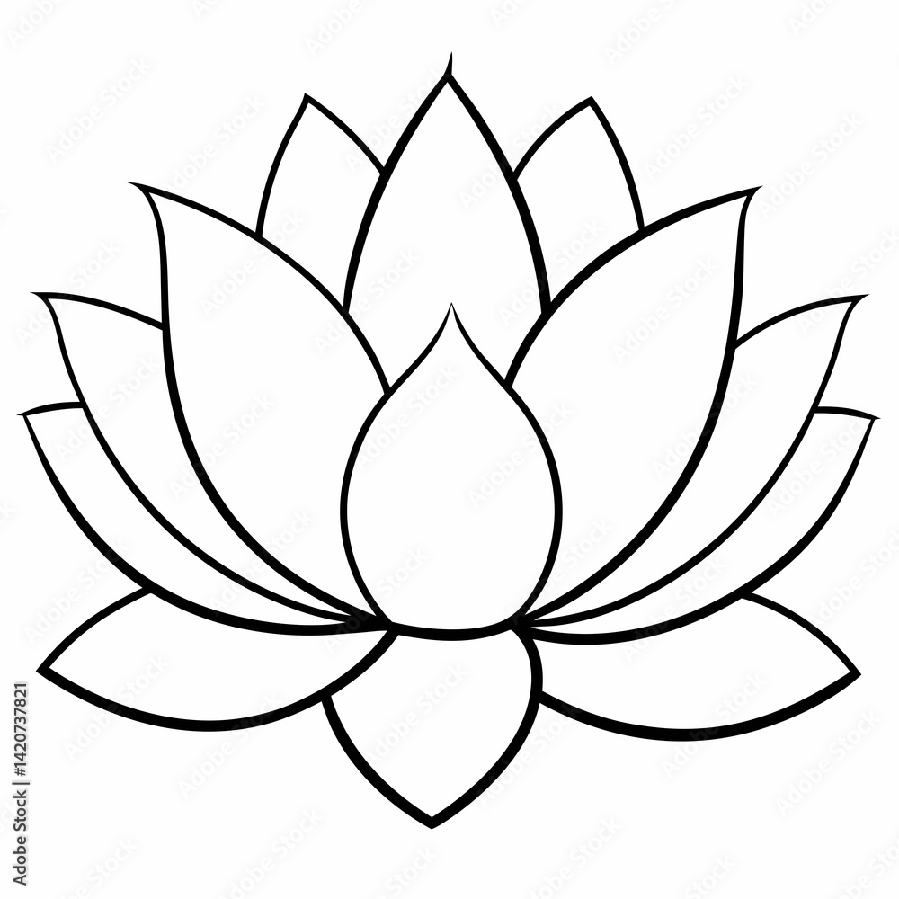 beautiful blooming lotu beautiful blooming lotu
