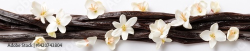 Dark Vanilla Pods with Blossoms photo