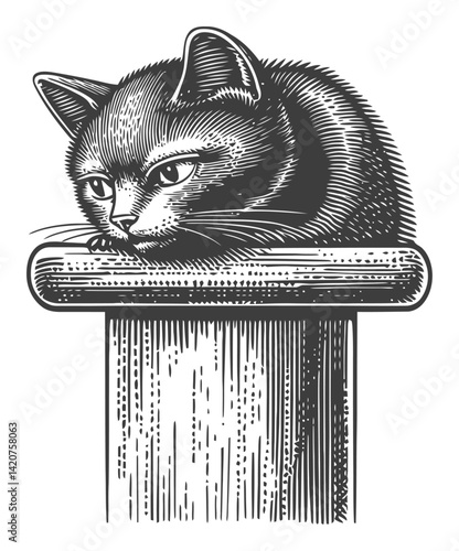 Detailed Hand-Drawn Engraving of a Cat Posing on a Wooden Post