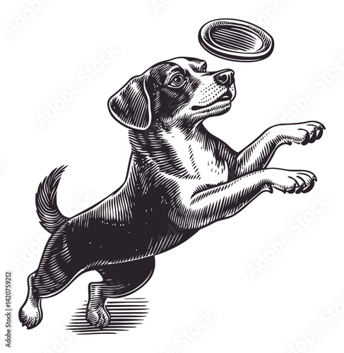 Vintage Hand-Drawn Dog Engraving Catching Flying Disc Illustration