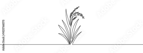 Continuous line, rice plant, agriculture, farm vector illustration with transparent background editable stroke.