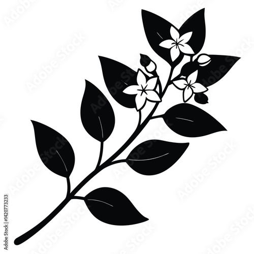 Jasmine Flower Silhouette Vector – Botanical Bloom and Floral Illustration
