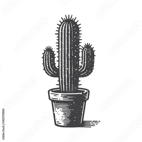 Simple Mature Cactus Vector Icon Design – Vintage Retro Logo & Illustration