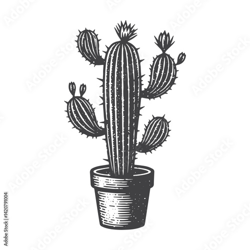 Simple Mature Cactus Vector Icon Design – Vintage Retro Logo & Illustration