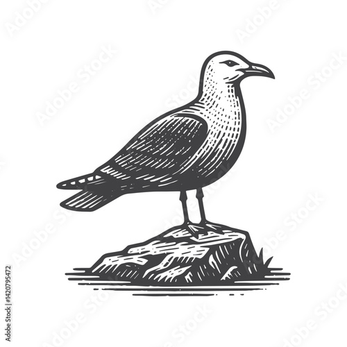 Simple Seagull Standing on Rock Vector Icon Design – Vintage Retro Logo & Illustration