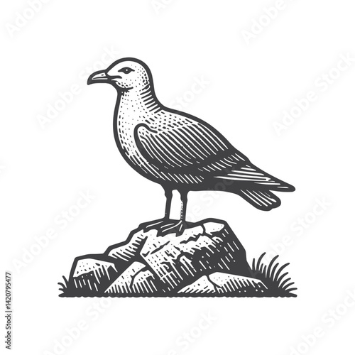 Simple Seagull Standing on Rock Vector Icon Design – Vintage Retro Logo & Illustration