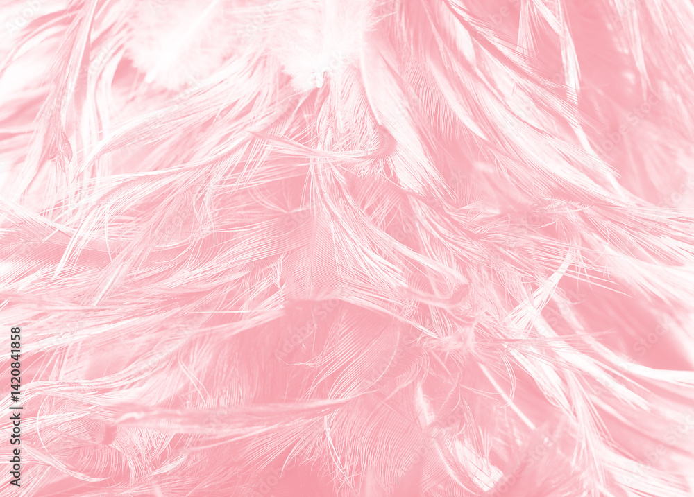 Fototapeta premium Beautiful soft pink feather pattern texture background