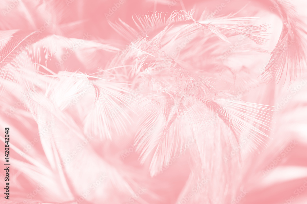Beautiful soft pink feather pattern texture background Beautiful soft pink feather pattern texture background