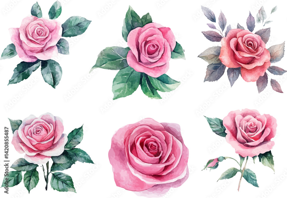 Naklejka premium set of roses vector illustration