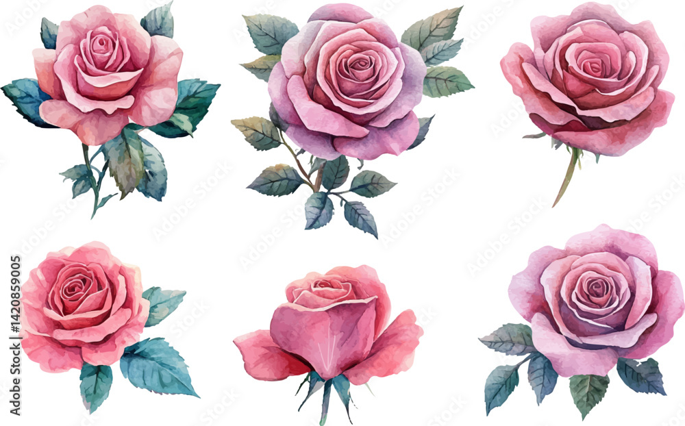 Fototapeta premium set of roses vector illustration