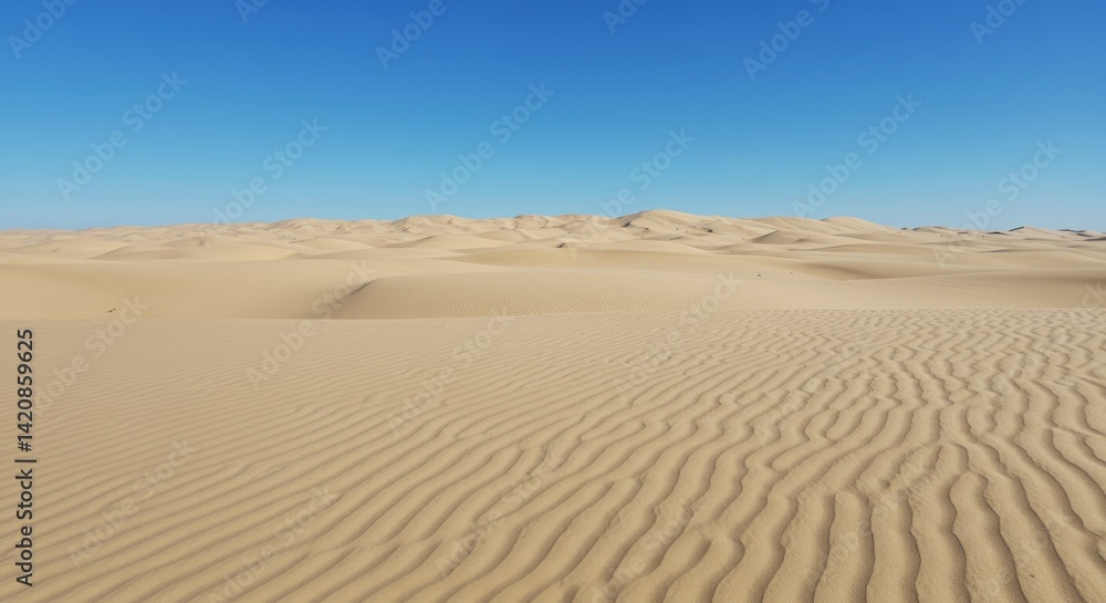 Desert landscape with sand dunes under a clear blue sky on a sunny day. Desert landscape with sand dunes under a clear blue sky on a sunny day.