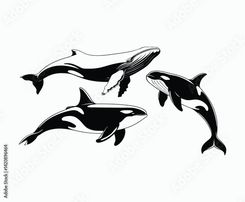 Whale Silhouette Collection Vector Set