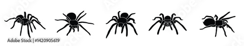 hand drawn silhouette of tarantula