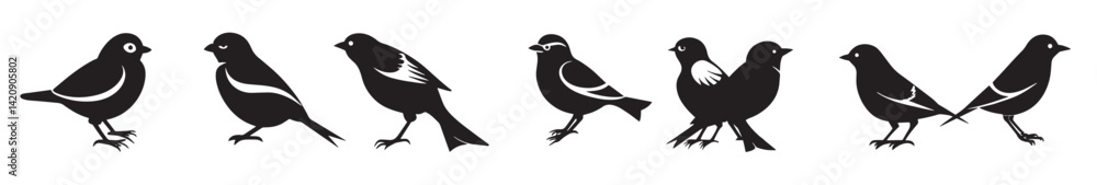 Set of bird silhouette illustration. isolated on white background Set of bird silhouette illustration. isolated on white background