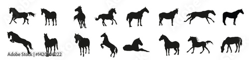 Collection of horse silhouettes for artwork compositions