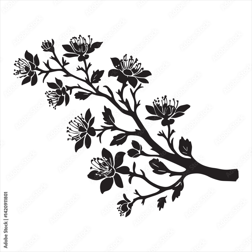 Fototapeta premium Black Silhouette of Branch with Flowers Stock Vector - Illustration of white background