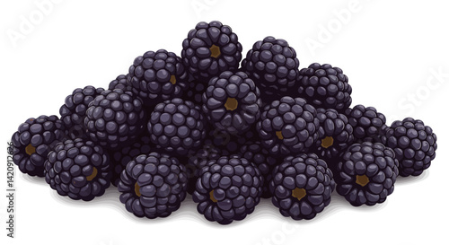 A bountiful pile of juicy ripe blackberries ready to be enjoyed sits against a clean white backdrop
