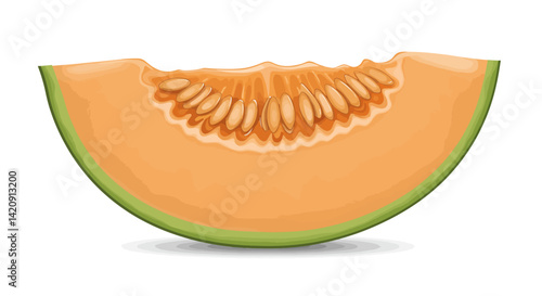 A vibrant cantaloupe slice showcasing juicy flesh seeds and green rind on white with a subtle shadow
