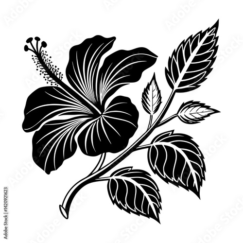 
Silhouette of a hibiscus flower with leaves vector illustration