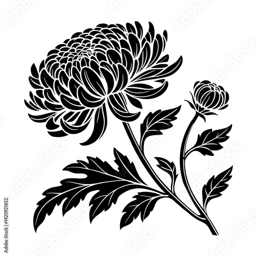 
Silhouette of chrysanthemum flower with leaves and bud vector illustration