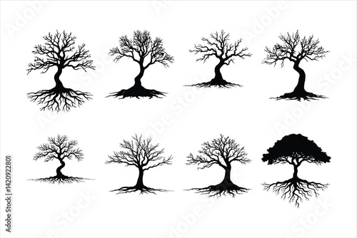 Tree silhouette 