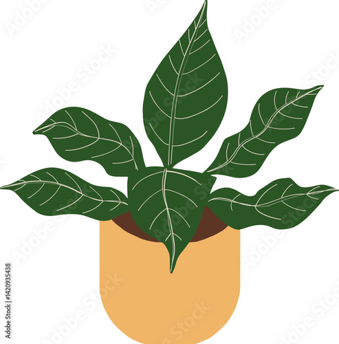 Houseplant Indoor potted zebra plant illustration