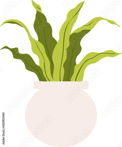 Houseplant Indoor potted plant birds nest fern illustration