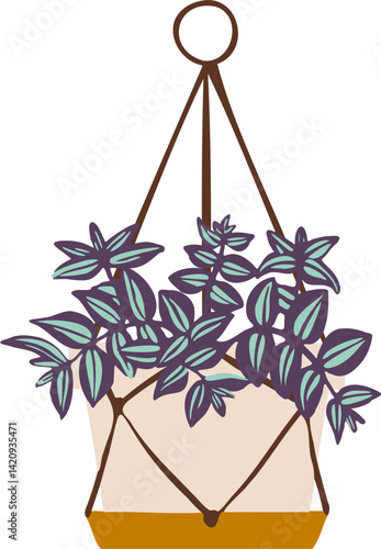 Houseplant Indoor potted plant wandering jew illustration