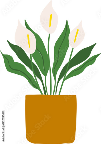 Houseplant Indoor potted plant peace lily illustration