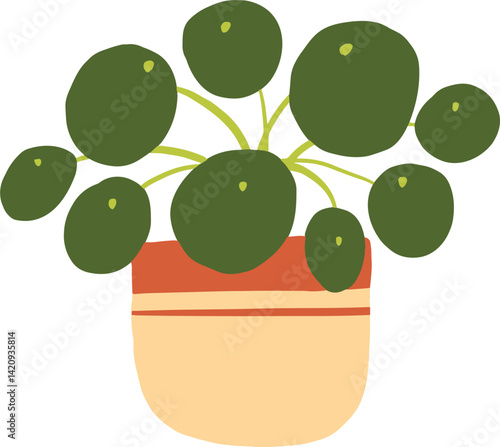 Houseplant Indoor potted plant chinese money illustration