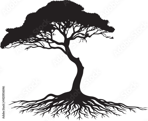 Tree silhouette 