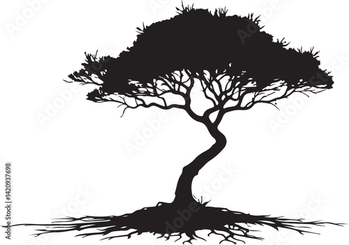 Tree silhouette 