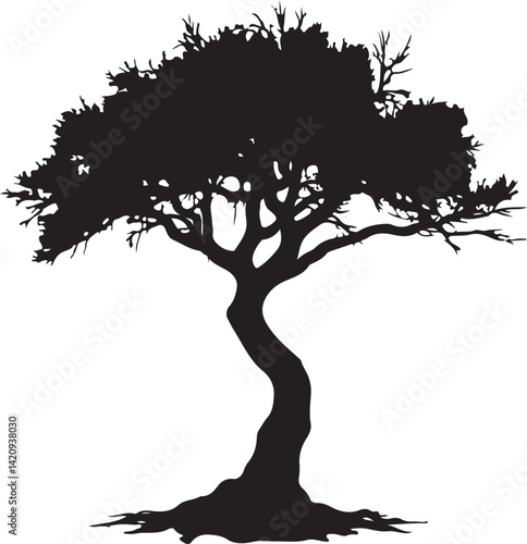 Tree silhouette 