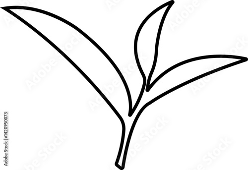 Tea Leaf icon in line botany, bio, organic, vegetarian, fresh, nature design leaves isolated on transparent background