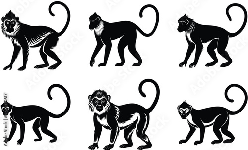Patas monkey wild animal silhouette black vector art design set